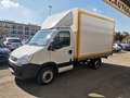 Iveco Ecodaily 35 S 11 CENTINA E TELONE Alb - thumbnail 3