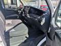 Iveco Ecodaily 35 S 11 CENTINA E TELONE Alb - thumbnail 9