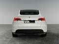 Tesla Model Y 320CV Batt.60kWh RWD - IVA ESPOSTA Bianco - thumbnail 5