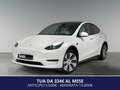 Tesla Model Y 320CV Batt.60kWh RWD - IVA ESPOSTA Bianco - thumbnail 1