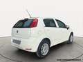 Fiat Punto 1.4 8V 5 porte Metano Lounge unico proprietario Bianco - thumbnail 5