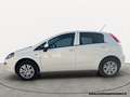 Fiat Punto 1.4 8V 5 porte Metano Lounge unico proprietario Bianco - thumbnail 2