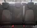 Ford Focus 1.5 EcoBlue 120 CV 5p. Business IN ARRIVO Argento - thumbnail 12