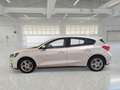 Ford Focus 1.5 EcoBlue 120 CV 5p. Business IN ARRIVO Argento - thumbnail 8