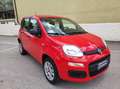 Fiat Panda Panda 0.9 TwinAir Turbo Natural Power Easy  FINO Rood - thumbnail 7