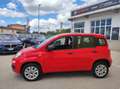 Fiat Panda Panda 0.9 TwinAir Turbo Natural Power Easy  FINO Rood - thumbnail 4
