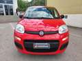 Fiat Panda Panda 0.9 TwinAir Turbo Natural Power Easy  FINO Rood - thumbnail 5