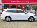 Kia Ceed SW / cee'd SW SW 1.5 T-GDI DCT7 (48V M-H) Ultimate Edition Weiß - thumbnail 6