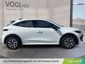 Renault Clio Evolution TCe 115 Weiß - thumbnail 8