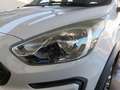 Ford Ka/Ka+ Active Blanc - thumbnail 21
