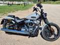 Harley-Davidson Street Bob Grigio - thumbnail 5