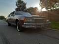 Chevrolet Caprice Chevrolet Caprice 5,7 l V8 Limousine Rot - thumbnail 7