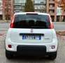 Fiat Panda Panda 1.0 Firefly Hybrid City Cross Bianco - thumbnail 8