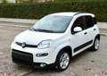 Fiat Panda Panda 1.0 Firefly Hybrid City Cross Bianco - thumbnail 1