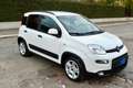 Fiat Panda Panda 1.0 Firefly Hybrid City Cross Bianco - thumbnail 5