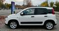 Fiat Panda Panda 1.0 Firefly Hybrid City Cross Bianco - thumbnail 3
