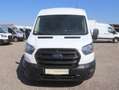 Ford Transit L3H2 Kasten/€ 16.500,-netto/KAMERA TEL TEMP KLIMA Weiß - thumbnail 2