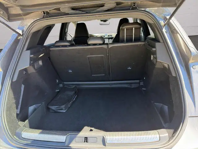 DS Automobiles DS 7 Crossback view 14