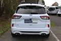 Ford Kuga ST-Line X 2.0EcoBlue 190PS AWD Automatik A8 Blanc - thumbnail 8