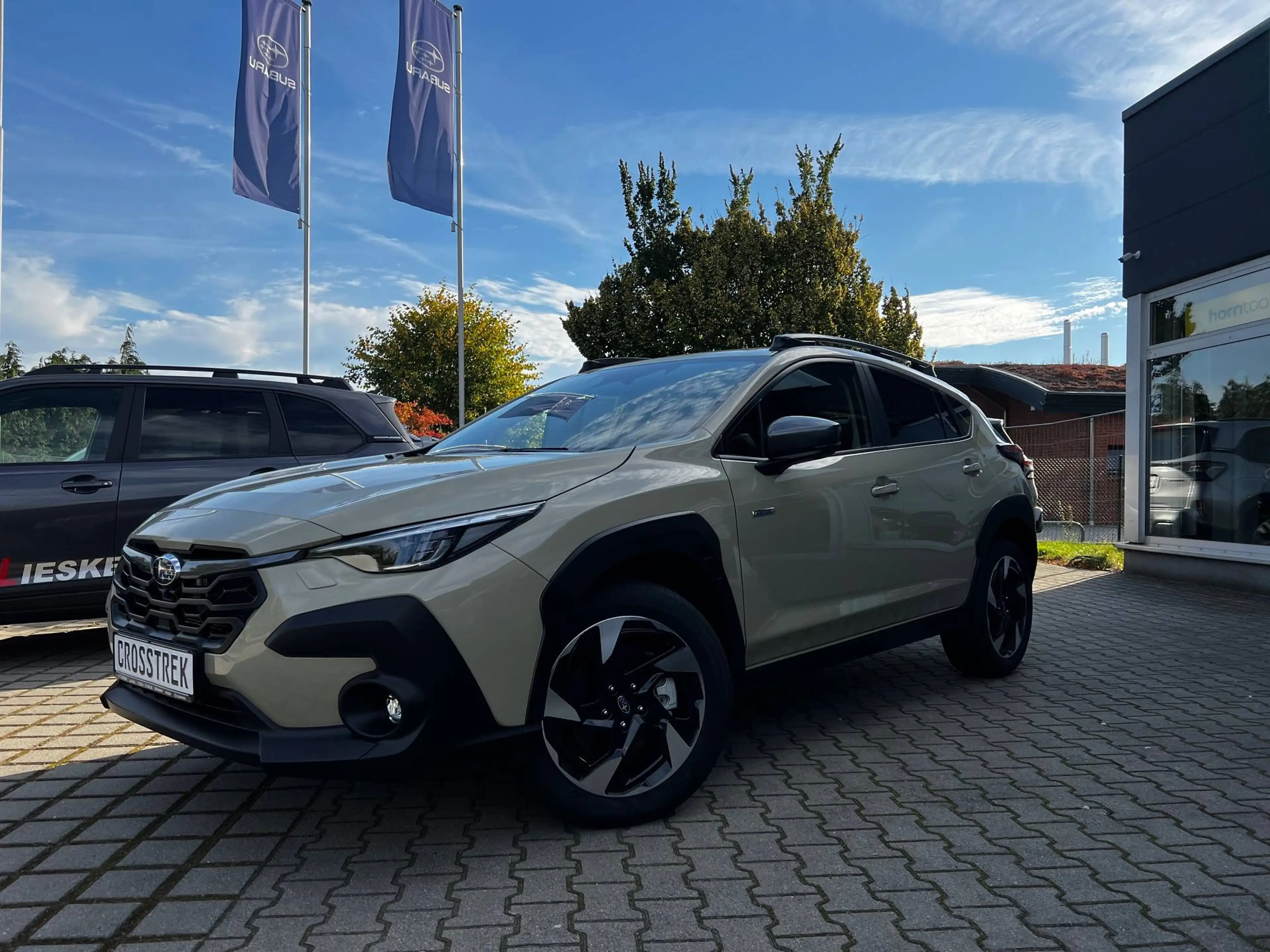 Subaru Crosstrek Crosstrek 2.0ie Lineartronic Active Plus Navi — photo 2