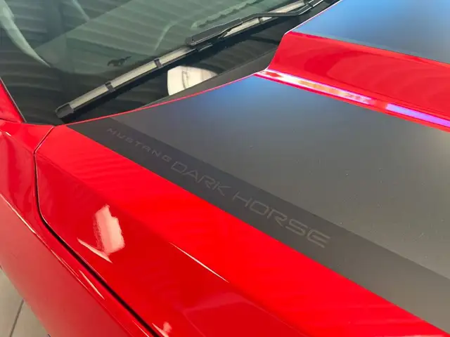 Ford Mustang view 22