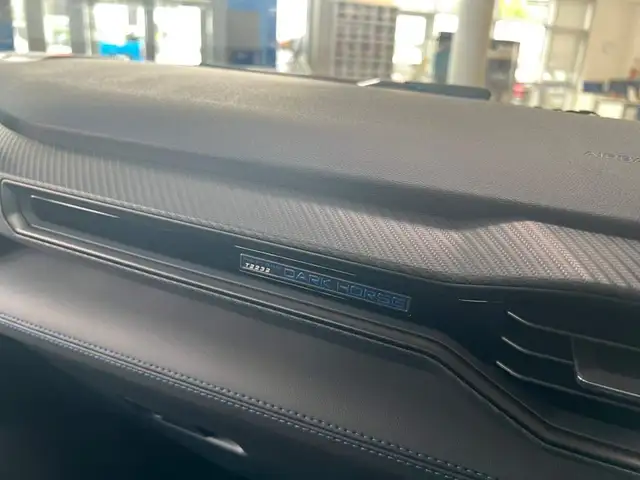 Ford Mustang view 21