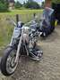 Harley-Davidson V-Rod 100 Jahre HD Geburtstagsedition Zilver - thumbnail 1