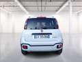 Fiat Panda 1.0 firefly hybrid Cross s&s 70cv 5p.ti Blanc - thumbnail 6
