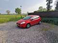 Fiat Punto Punto 1.2 Active Rood - thumbnail 3