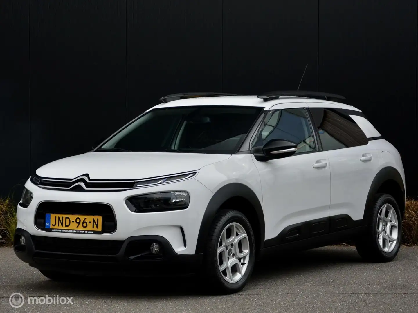 Citroen C4 Cactus 110pk Business I Navi I Clima I Cruise I Blanc - 2