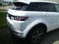 Land Rover Range Rover Evoque SD4 Aut Pure Weiß - thumbnail 4