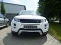 Land Rover Range Rover Evoque SD4 Aut Pure Weiß - thumbnail 1