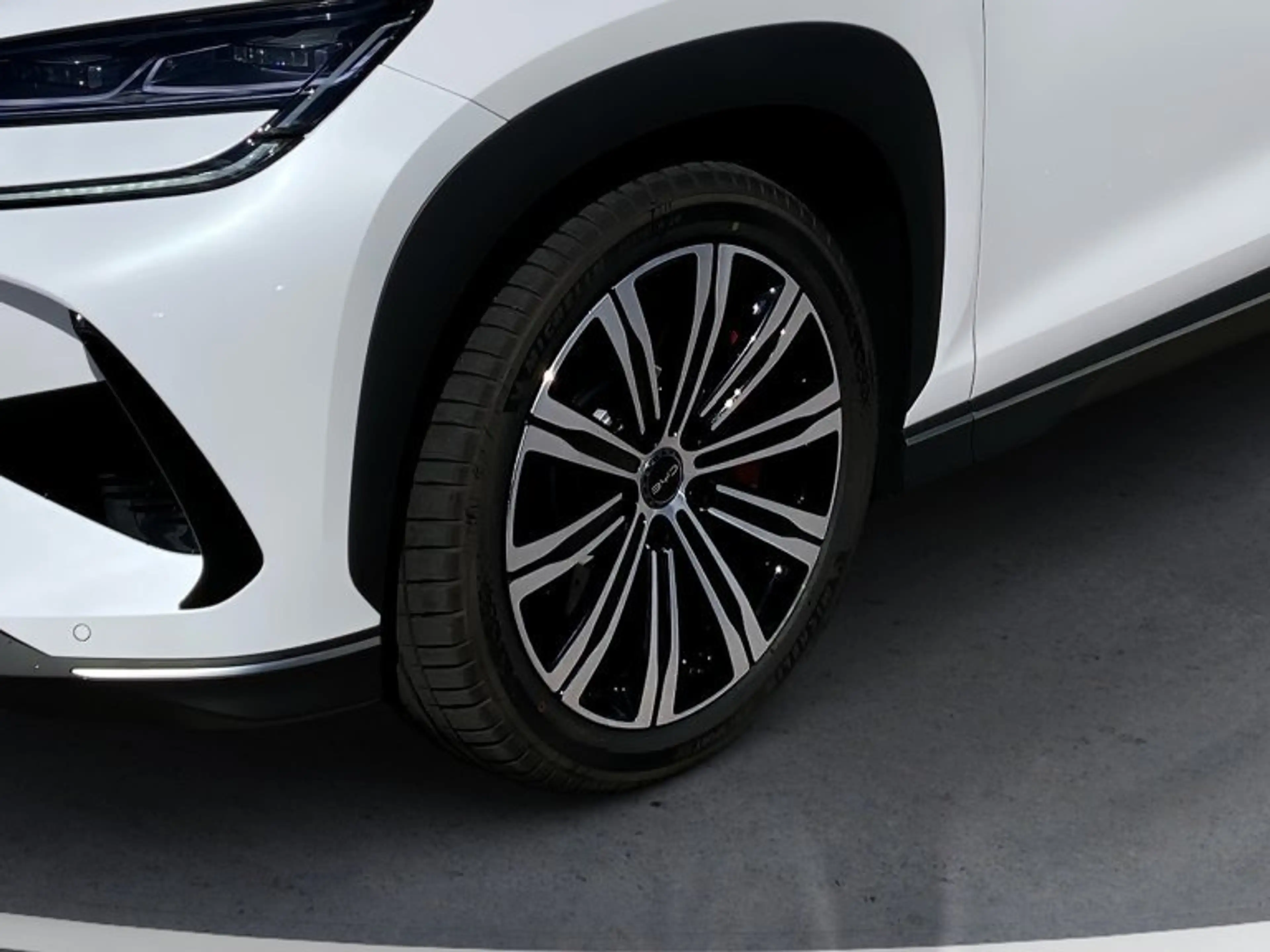 BYD Sealion 7 Excellence AWD MY2025 — photo 8