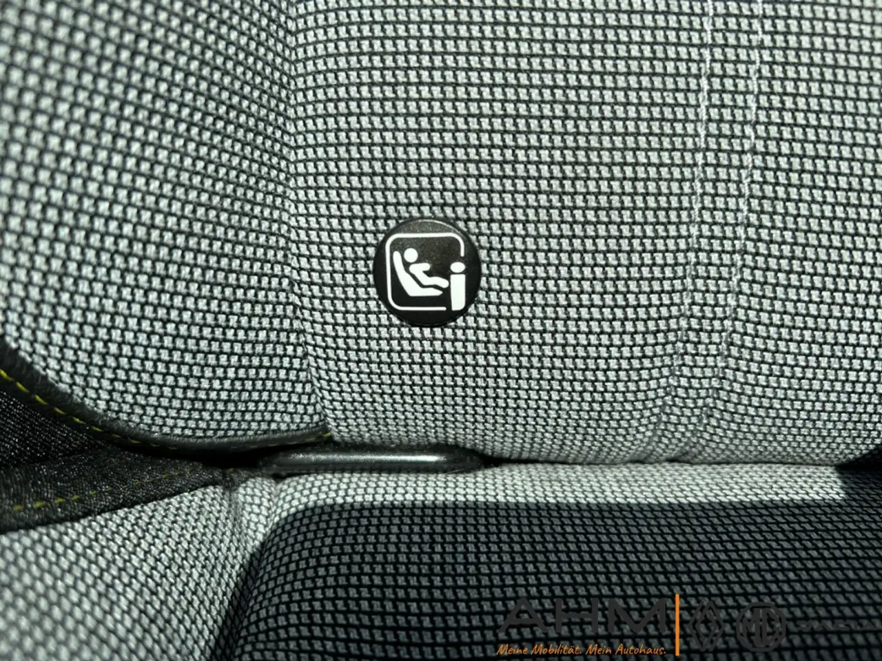 Renault Megane E-Tech Techno EV40 130HP Wärmepumpe 29
