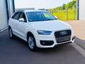 Audi Q3 2.0 TDI 8-fach bereift. Weiß - thumbnail 12