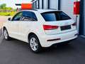 Audi Q3 2.0 TDI 8-fach bereift. Weiß - thumbnail 11