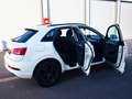 Audi Q3 2.0 TDI 8-fach bereift. Weiß - thumbnail 7