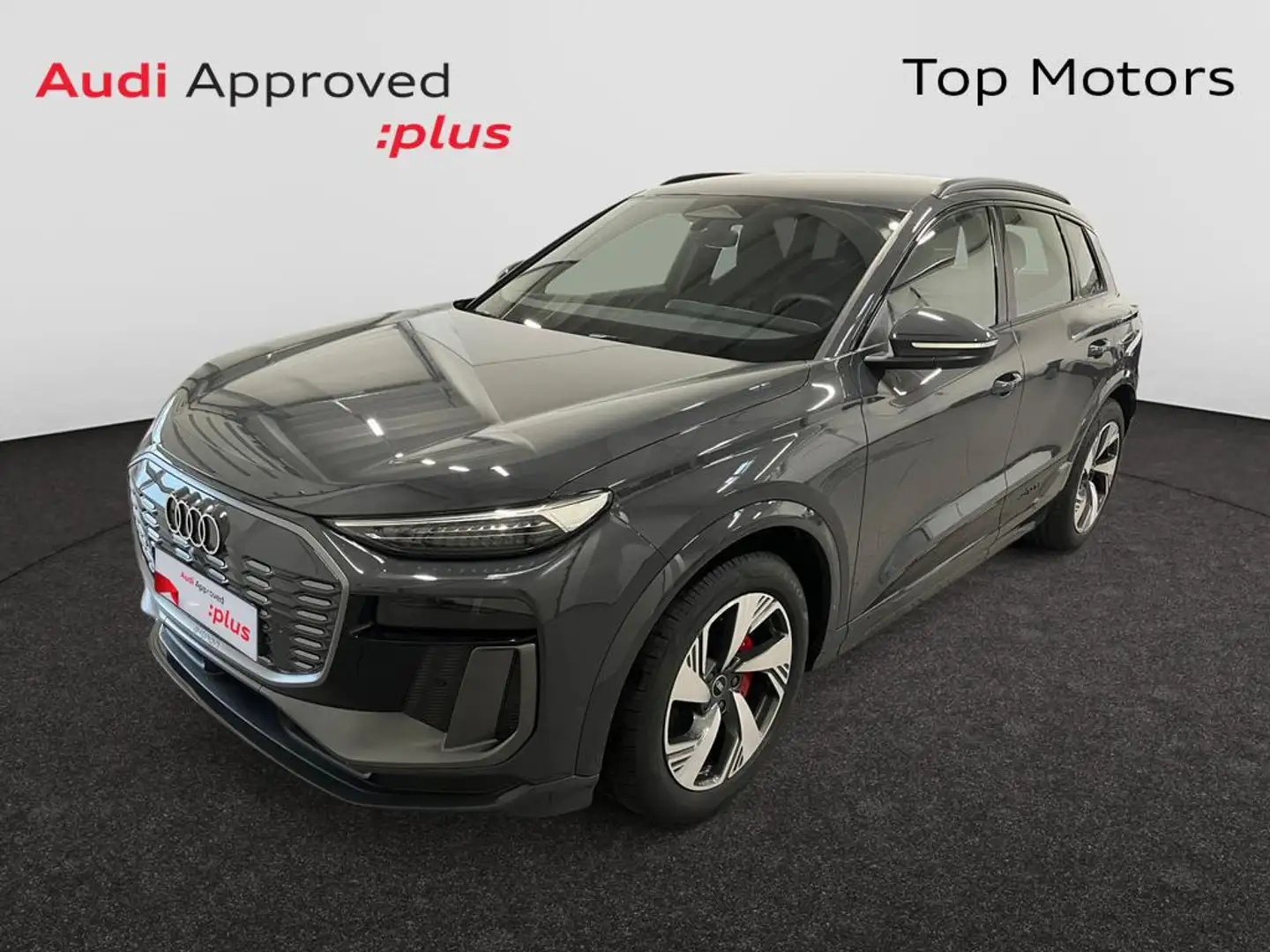 Audi Q6 e-tron QUATTRO*S-LINE*Matrix lichten*360 camera*El Gris - 1