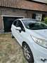 Ford Fiesta 1.25 Titanium Wit - thumbnail 2
