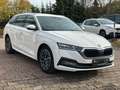 Skoda Octavia Combi 1st Edition*LEDER*MATRIX*StHz*SzHz Blanc - thumbnail 3