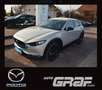 Mazda CX-30 HOMURA NAVI LED ACC HUD KAMERA PDC Beige - thumbnail 1
