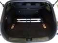 Kia Ceed SW / cee'd SW ceed SW 1,0 T-GDI GPF ISG Silber *LED, NAVI, SI... Weiß - thumbnail 12