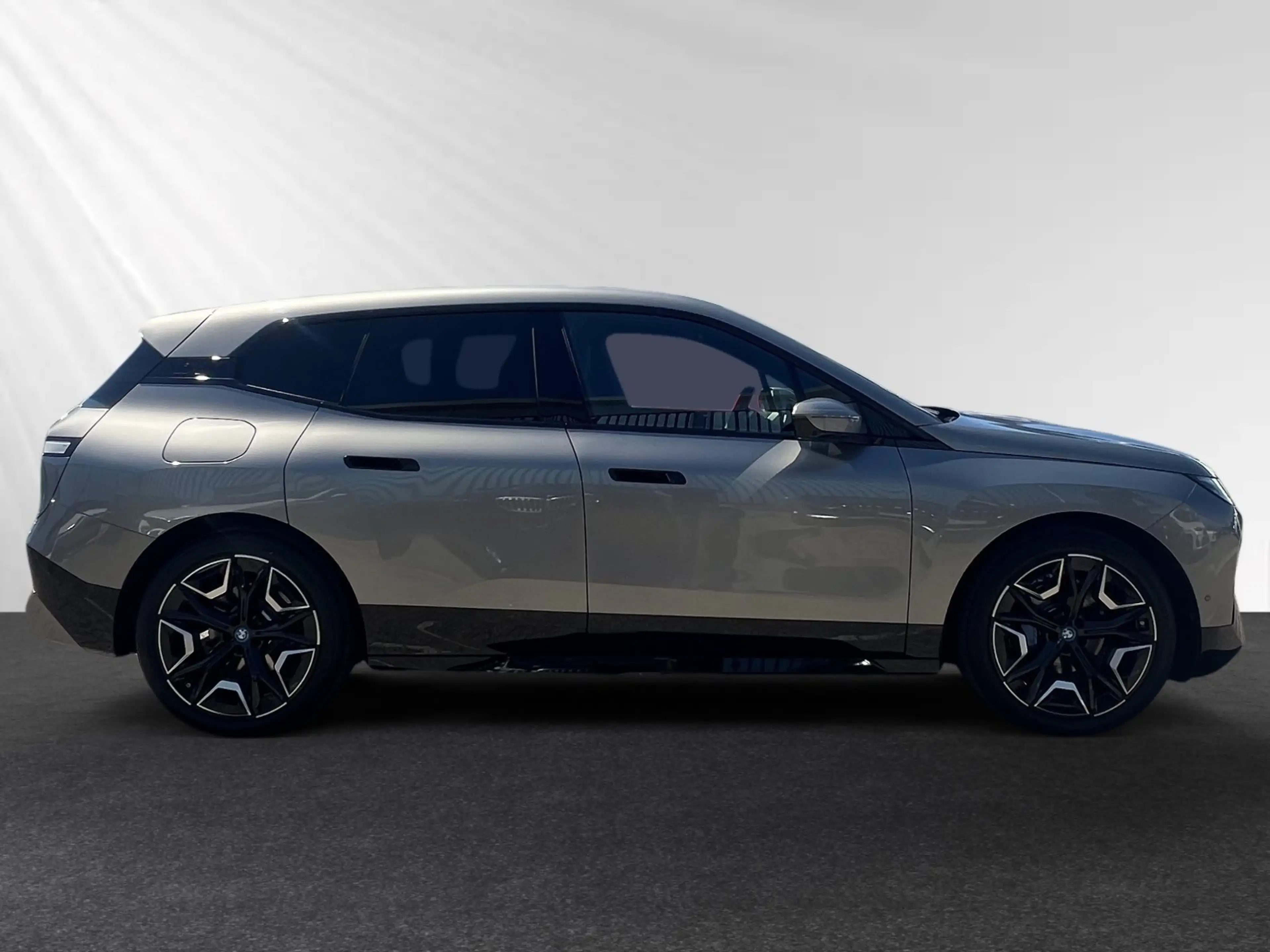 BMW iX xDrive40 Sportpaket Harman/Kardon|DA&PA-Prof. — photo 2