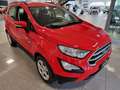 Ford EcoSport EcoSport 1.0 ecoboost Plus 100cv my19 Rosso - thumbnail 3
