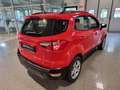 Ford EcoSport EcoSport 1.0 ecoboost Plus 100cv my19 Rosso - thumbnail 14
