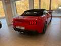 Ford Mustang Convertible GT 5.0 V8 Automatico a 10 rapporti Rosso - thumbnail 5