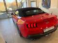 Ford Mustang Convertible GT 5.0 V8 Automatico a 10 rapporti Rosso - thumbnail 4