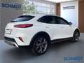 Kia XCeed Vision Komfortpaket Navi LED Apple CarPlay Android Weiß - thumbnail 3
