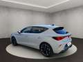 CUPRA Leon 2.0 TDI 110 kW (150 PS) 7-Gang-DSG Weiß - thumbnail 3