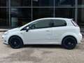 Fiat Punto 3p 1.2 BENZ 69 CV Lounge E6 ADATTA NEOPATENTATI Wit - thumbnail 5